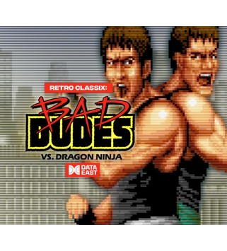 Retro Classix: Bad Dudes Steam Key GLOBAL